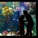 A mother and child viewing marine life through a large aquarium